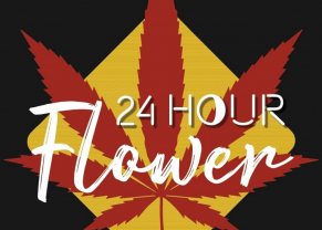 24 hour flower Logo