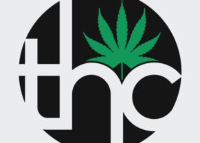 The healing co Logo