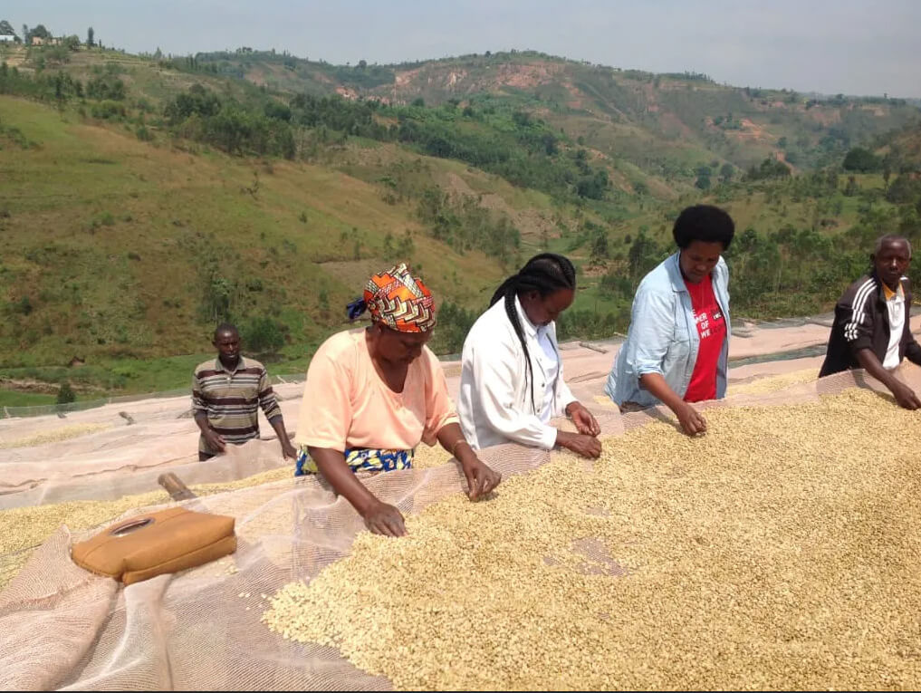 Burundi Star coffee farmers