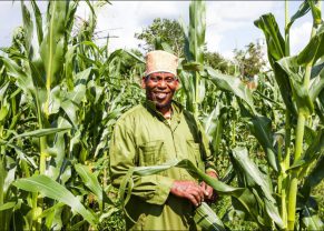 Farmer at new Root cooperative Farm